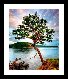 Fotos Landschaft -  Kunstwerksreproduktion